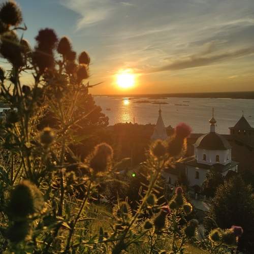 Photo #12554067