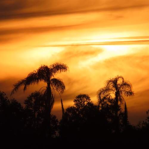 Sky on Fire