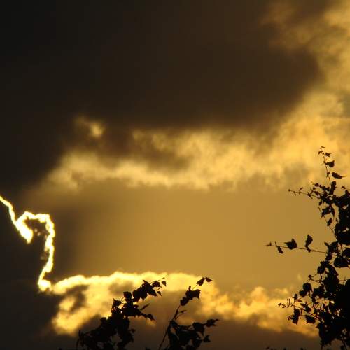 Photo #12554181