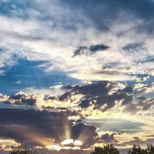 Photo #12554182