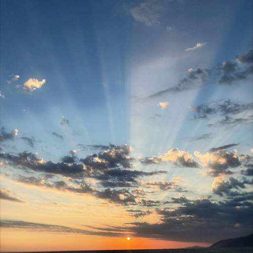 Photo #12554195