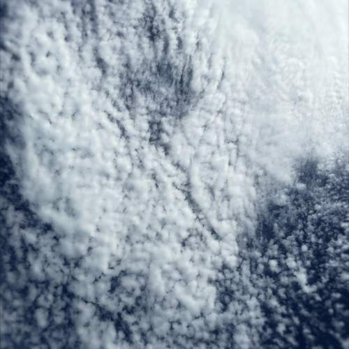 Photo #12554196