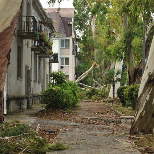 Photo #12554237