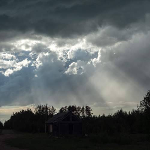 Photo #12554264