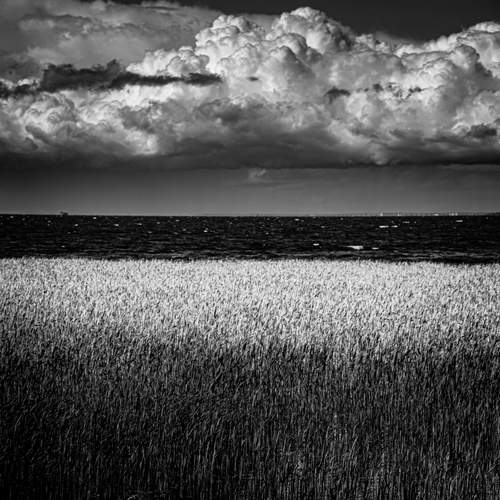 Photo #12554272