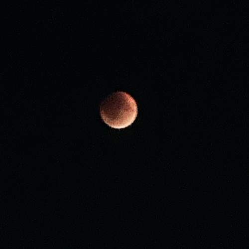 Photo #12554485