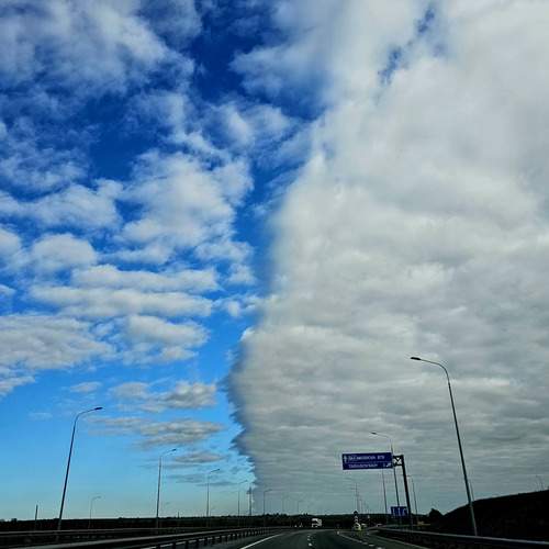 Photo #12554496