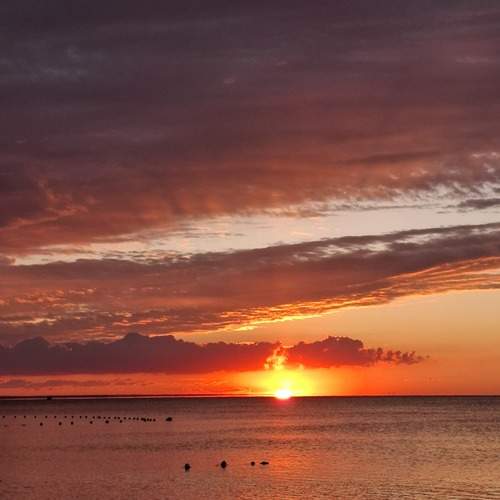 Photo #12554500