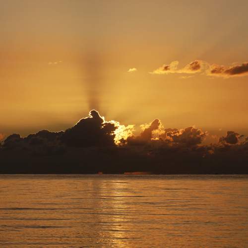 Photo #12554515