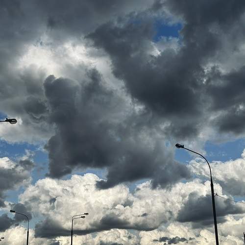 Photo #12554575