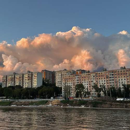 Photo #12554576