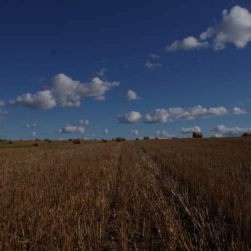 Photo #12554585