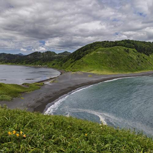 Photo #12554625