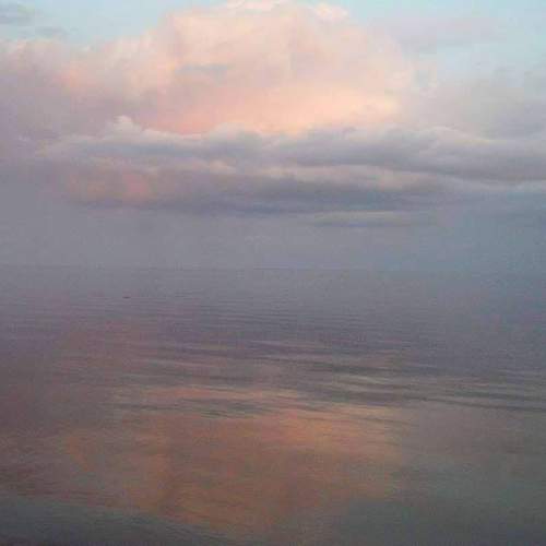 Photo #12554628