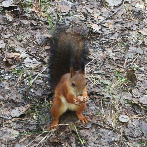 Photo #12554644