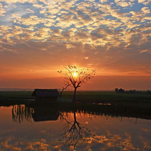 MORNING SKY