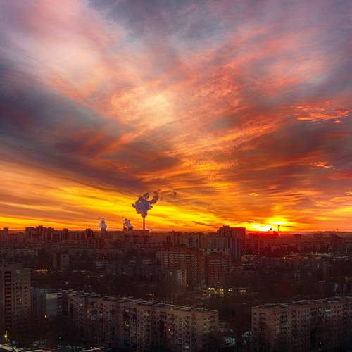 Photo #12554828
