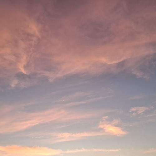 Photo #12554975