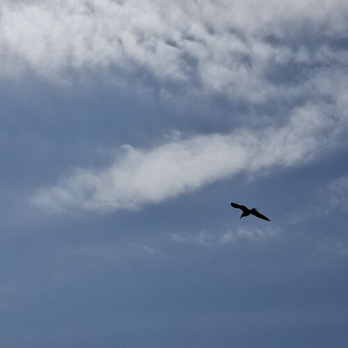 Photo #12554992