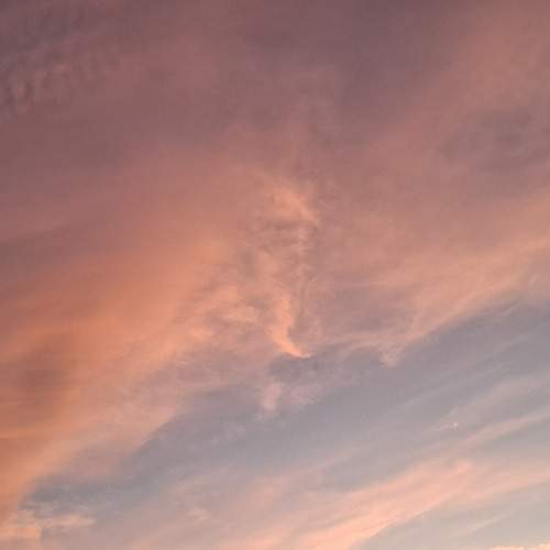 Photo #12555000