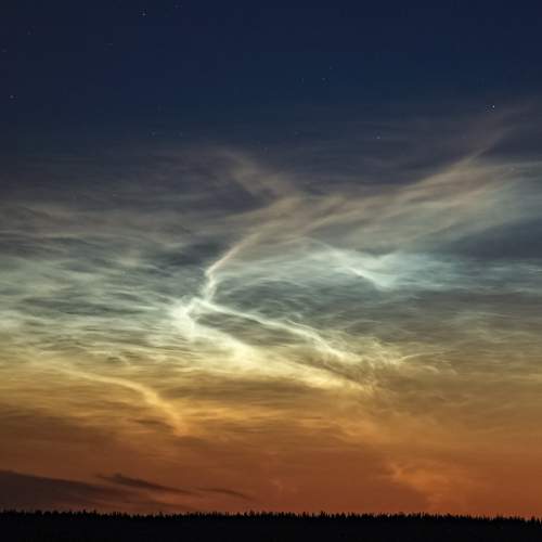 Photo #12555066