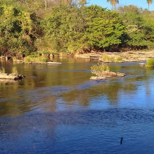 Photo #12555137