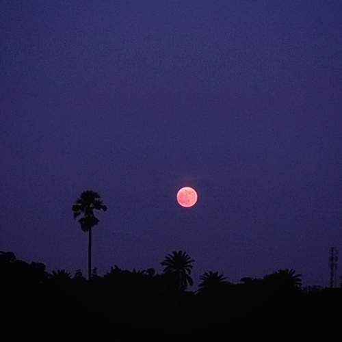 The Moonrise