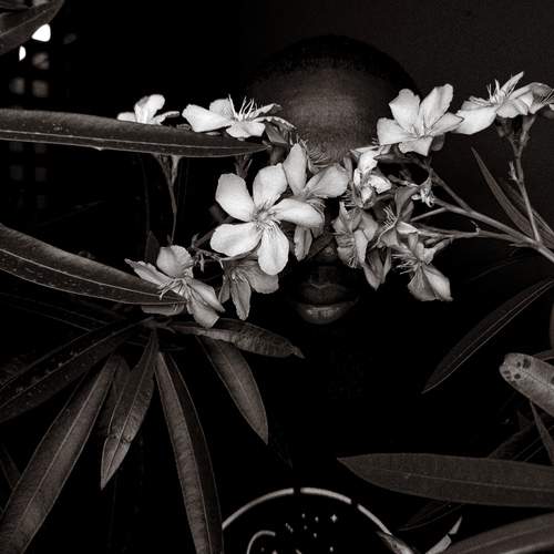 Photo #12555153