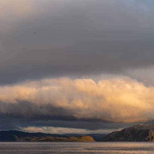 Photo #12555174