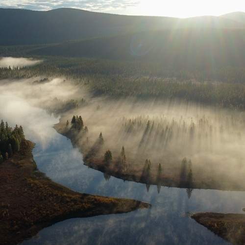 Photo #12555263
