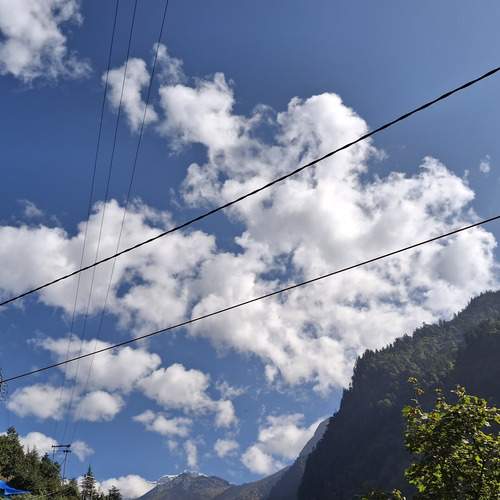 Photo #12555287
