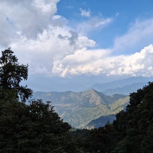 Photo #12555288