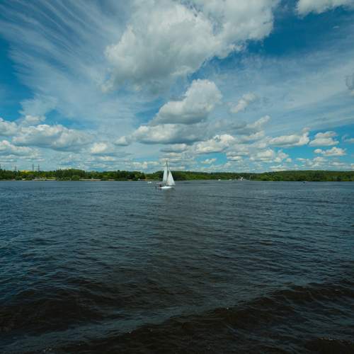 Photo #12555341