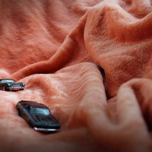 Фотография #12555347