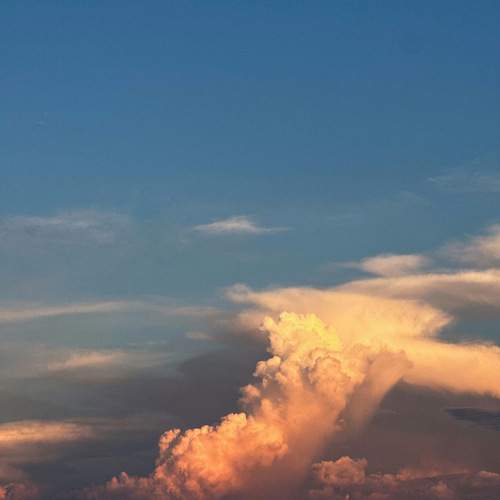 Photo #12555477