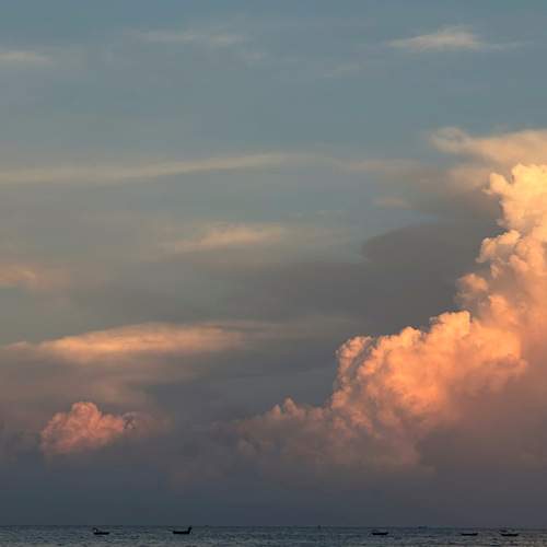 Photo #12555478