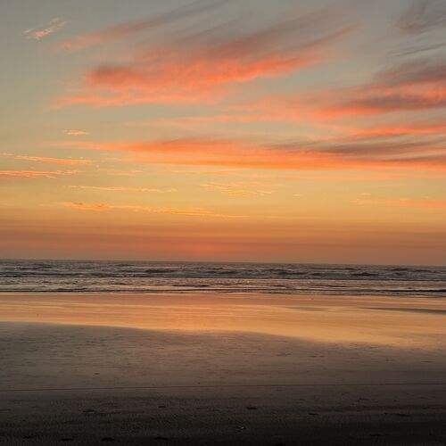 Photo #12555637