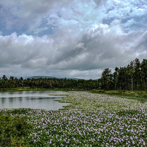 Photo #12555954