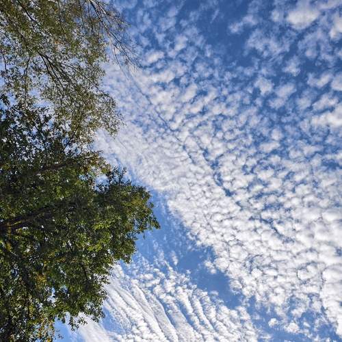 Photo #12555963