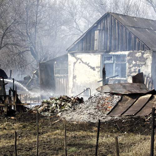 Photo #12556069