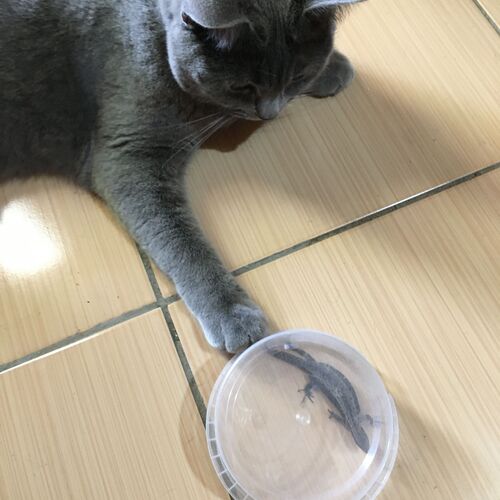 Photo #12556096