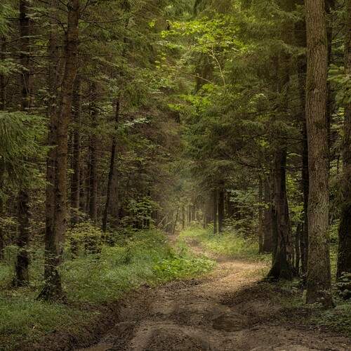 Photo #12556286