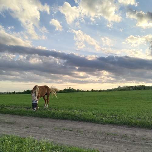 Photo #12556337