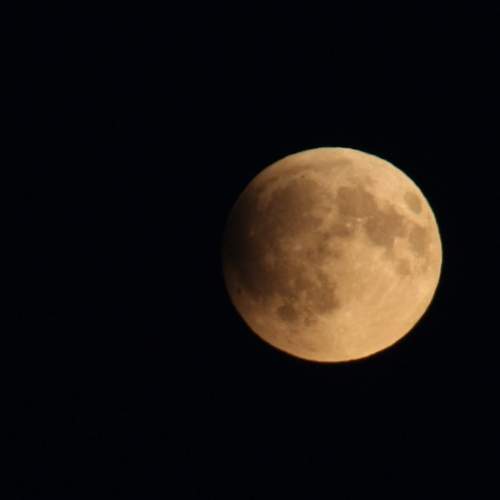 Photo #12556547