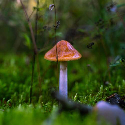 Photo #12556682