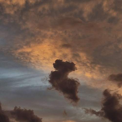 Photo #12556739
