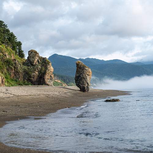 Photo #12556779