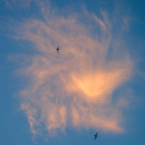 Photo #12556855