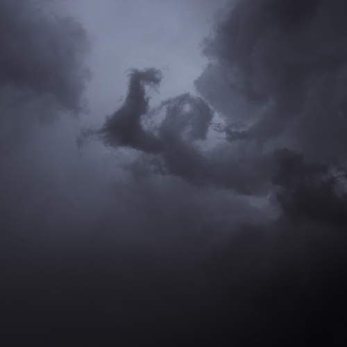 Photo #12556860