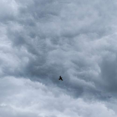 Photo #12556864